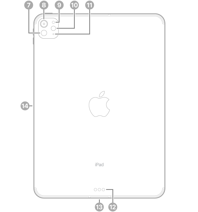 11 英寸 iPad Pro (M4) 背面视图，标注指向左上方的激光雷达、后置相机、后置环境光感应器、闪光灯和麦克风；底部中央的智能接点和 USB-C 接口；以及左侧用于 Apple Pencil 的磁性接口。