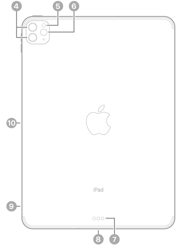 iPad Pro 背面视图，标注指向左上方的后置相机和闪光灯、底部中央的智能接点和 USB-C 接口、左下方的 SIM 卡托（无线局域网 + 蜂窝网络机型）以及左侧用于 Apple Pencil 的磁性接口。