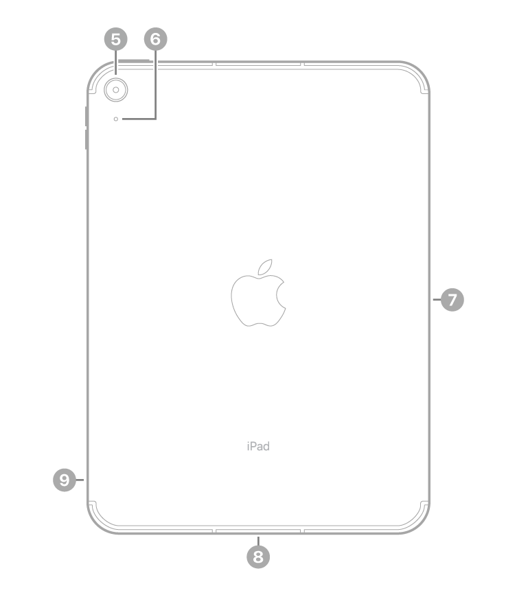 iPad 背面视图，标注指向左上方的后置相机和麦克风、右侧的智能接点、底部中央的 USB-C 接口以及左下方的 SIM 卡托（在无线局域网 + 蜂窝网络机型上）。