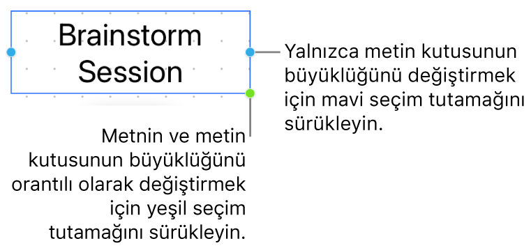 Mavi seçim tutamağını (yalnızca metin kutusunun büyüklüğünü değiştirmenize izin verir) ve yeşil seçim tutamağını (metnin ve metin kutusunun büyüklüklerini orantılı olarak değiştirir) gösteren seçili bir metin kutusu.