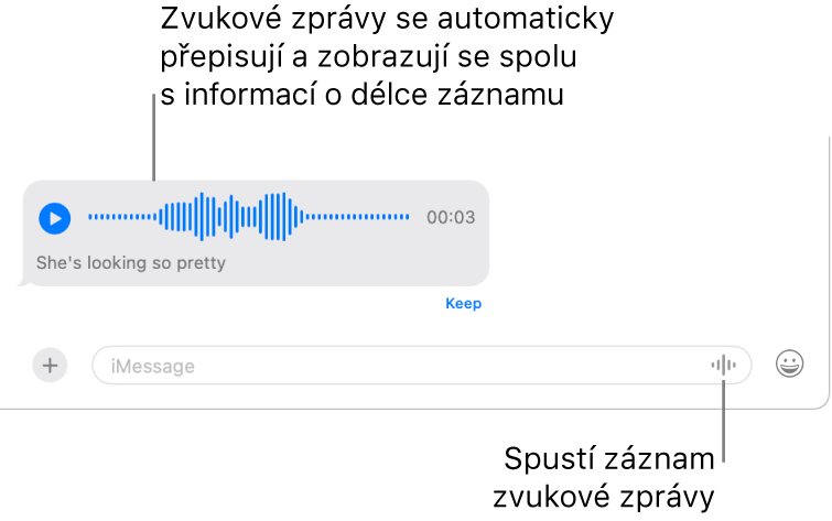 V konverzaci v aplikaci Zprávy se u dolního okraje oka vedle textového pole zobrazuje tlačítko Nahrát zvuk. V konverzaci se objeví zvuková zpráva s přepisem a informací o délce záznamu.