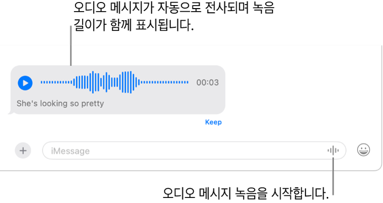 윈도우 하단의 메시지 필드 옆에 오디오 녹음 버튼이 있는 메시지 대화. 전사문 및 녹음된 길이와 함께 오디오 메시지가 대화에 나타남.