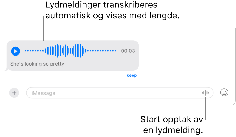 En samtale i Meldinger som viser Ta opp lyd-knappen ved siden av meldingsfeltet nederst i vinduet. En lydmelding med transkripsjonene og innspillingslengden vises i samtalen.