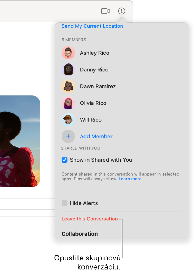 Zobrazenie Informácie, ktoré sa objaví po kliknutí na tlačidlo Informácie v konverzácii. Naspodku dialógového okna sa nachádza možnosť Opustiť túto konverzáciu.