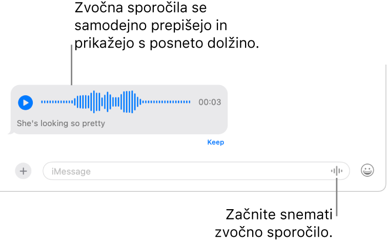 Pogovor v Sporočilih, v katerem je ob polju sporočila na dnu okna prikazan gumb Posnemi zvok. V pogovoru je prikazano zvočno sporočilo s transkripcijo in trajanjem posnetka.