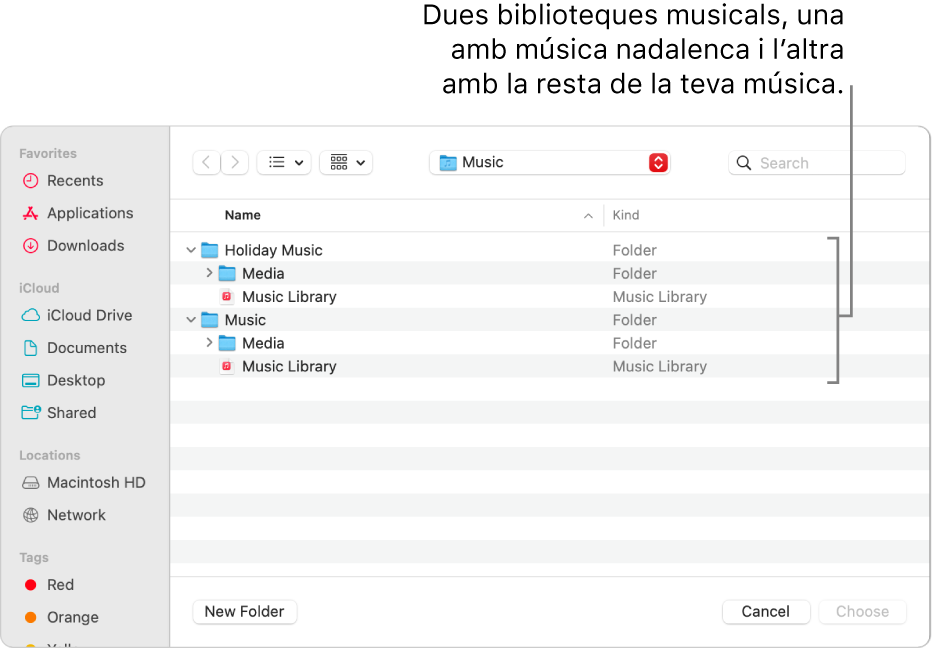 La finestra del Finder que mostra múltiples biblioteques: una de música festiva i l’altra per a la resta de la teva música.