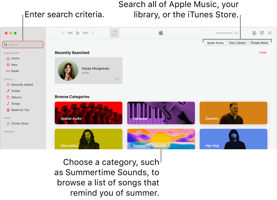 The Apple Music window showing the search field in the top-left corner, the list of categories in the center of the window, and Apple Music, Your Library, and iTunes Store available in the top-right corner. Enter search criteria in the search field, then choose to search all of Apple Music, just your library, or the iTunes Store.