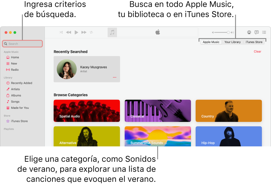 La ventana de Apple Music mostrando el campo de búsqueda en la esquina superior izquierda, la lista de categorías en el centro de la ventana, y la opción Apple Music, Tu biblioteca o iTunes Store disponible en la esquina superior derecha. Ingresa criterios de búsqueda en el campo de búsqueda y selecciona buscar en todo Apple Music, sólo en tu biblioteca o iTunes Store.