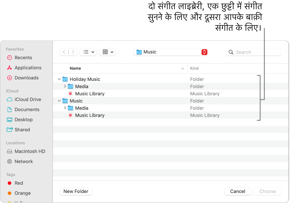 एकाधिक लाइब्रेरी दिखाती हुई Finder विंडो—एक छुट्टी में संगीत सुनने के लिए और दूसरा आपके बाक़ी संगीत के लिए।