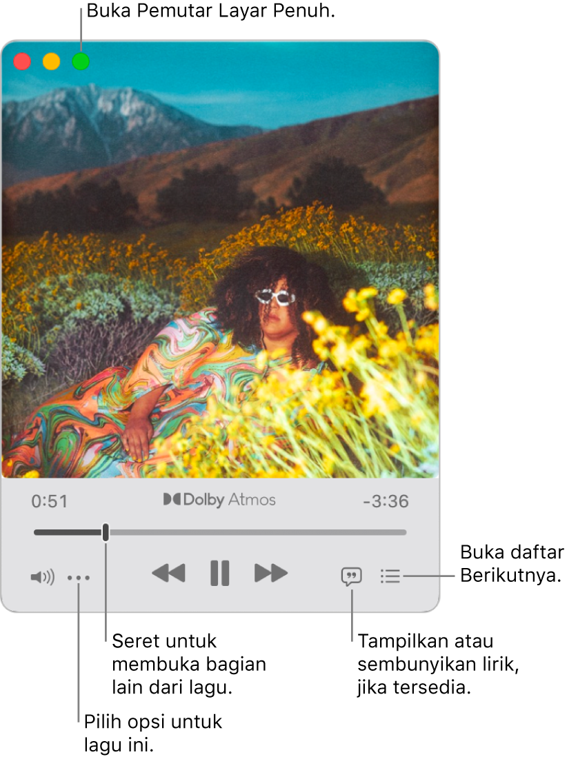 MiniPlayer yang diperluas menampilkan kontrol untuk lagu yang sedang diputar. Di pojok kiri atas adalah kontrol jendela yang digunakan untuk membuka dan menutup Pemutar Layar Penuh. Bagian utama jendela menampilkan gambar album untuk lagu yang sedang diputar. Di bawah gambar adalah penggeser untuk berpindah ke bagian lain dari lagu, dan tombol untuk menyesuaikan volume, menampilkan lirik, dan menampilkan apa yang diputar berikutnya.