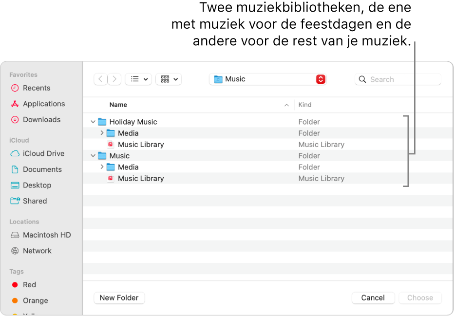 Het Finder-venster met meerdere bibliotheken. Een met muziek voor de feestdagen en een voor de rest van je muziek.