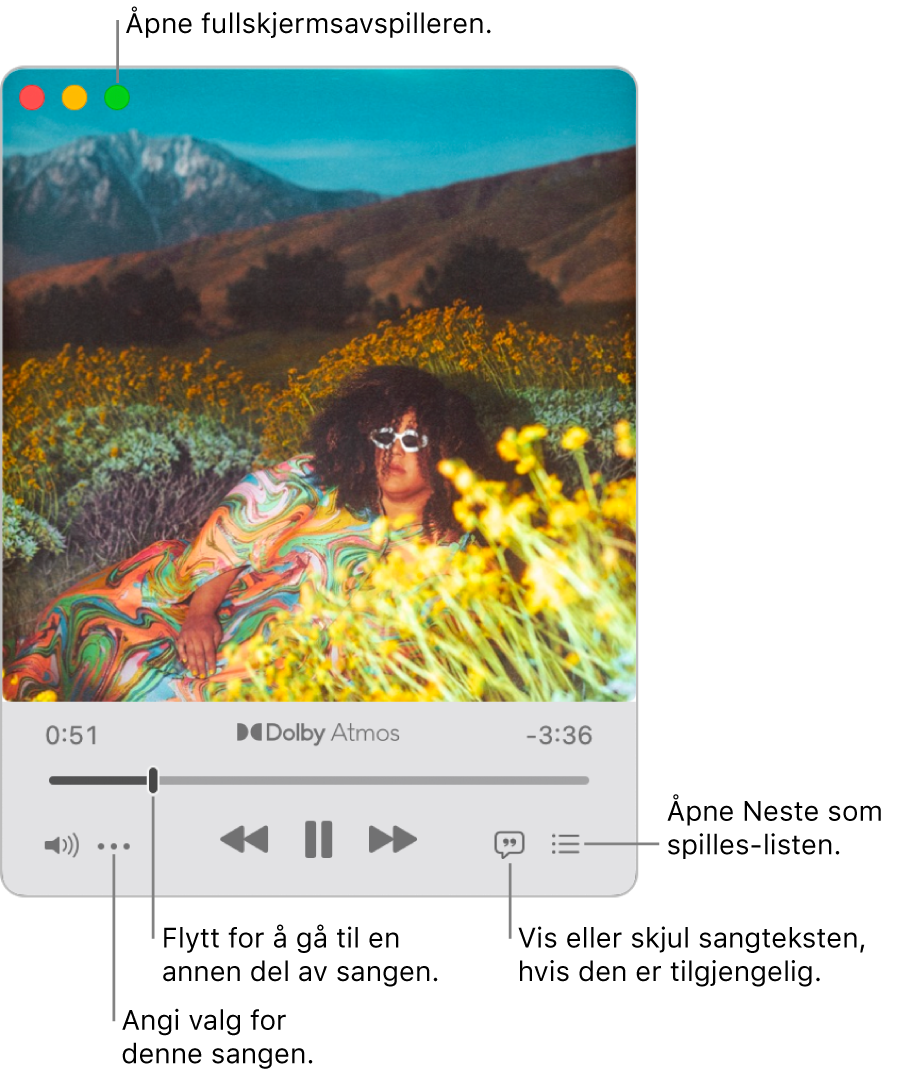 Utvidet minispiller viser kontroller for sangen som spilles av. Øverst til venstre vises vinduskontrollene, som brukes til å åpne og lukke fullskjermavspilleren. Hoveddelen av vinduet viser albumbildet for sangen som spilles av. Under bildet er det en skyveknapp du kan bruke til å hoppe fram eller tilbake i sangen, og knapper for å justere volum, vise sangtekster og se hva som er neste sang i køen.