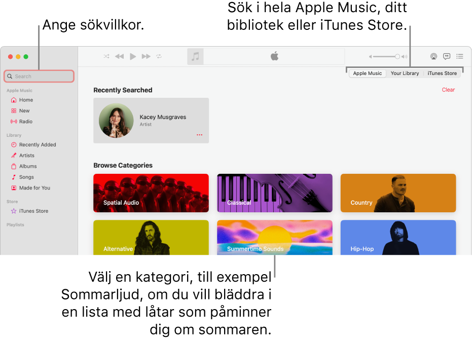 Apple Music-fönstret som visar sökfältet i det övre vänstra hörnet, listan med kategorier i mitten av fönstret och Apple Music, ditt bibliotek och iTunes Store tillgängliga i det övre högra hörnet. Ange sökvillkor i sökfältet och välj sedan att söka i hela Apple Music, bara i ditt bibliotek eller i iTunes Store.