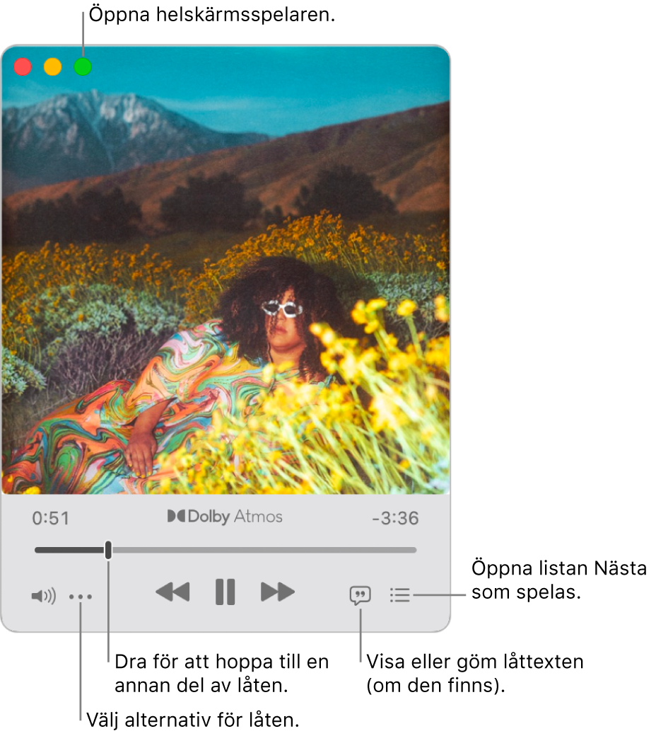 Den expanderade minispelaren som visar reglage för låten som spelas. I det övre vänstra hörnet finns fönsterreglagen som du använder till att öppna och stänga spelaren i helskärmsläge. Huvuddelen av fönstret visar bildmaterial för den låt som spelas. Nedanför bildmaterialet finns ett reglage för att flytta till en annan del av låten och knappar för att justera volymen, visa låttexten och visa vad som spelas härnäst.