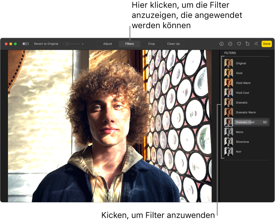 Das Foto in der Bearbeitungsansicht mit der ausgewählten Option „Filter“ in der Symbolleiste und den Filteroptionen auf der rechten Seite.