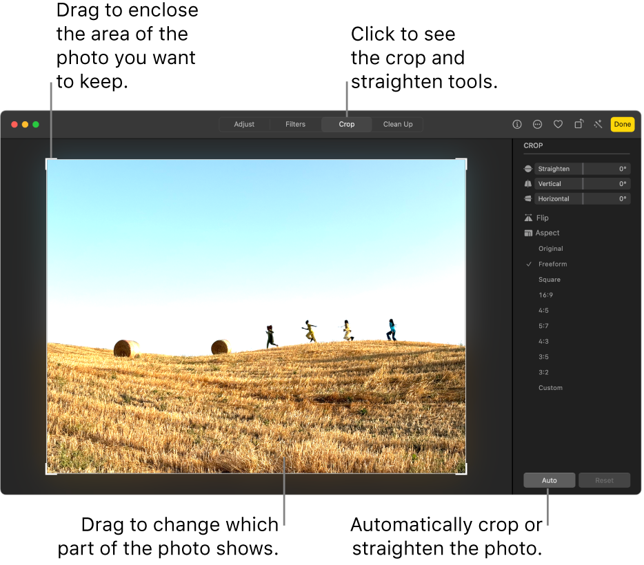 A photo in editing view, with Crop selected in the toolbar, a selection rectangle around the photo, and straightening sliders, aspect ratio options, and Auto and Reset buttons on the right.