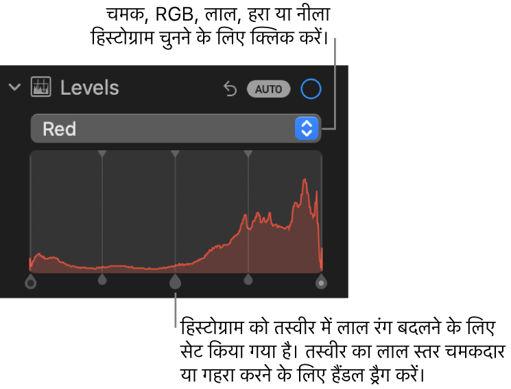 तस्वीर का रेड लेवल ऐडजस्ट करने के लिए नीचे की ओर दिए गए हैंडल वाला रेड हिस्टोग्राम दिखाता ऐडजस्ट करें पेन में स्तर नियंत्रण।