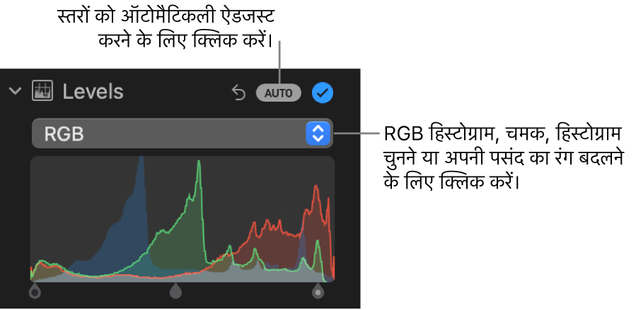 ऊपरी दाएँ कोने में ऑटो बटन और नीचे की ओर RGB हिस्टोग्राम दिखाता ऐडजस्ट करें पेन में स्तर नियंत्रण।