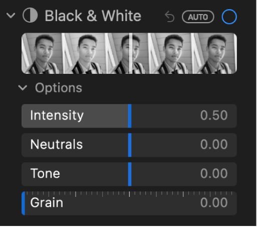 Područje Crno i bijelo prozora Prilagodi koji prikazuje kliznike za Intenzitet, Neutralno, Ton i Zrnatost.