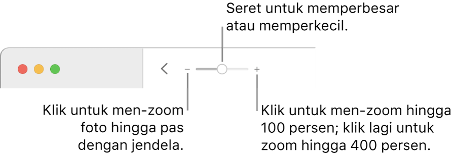 Bar alat menampilkan kontrol zoom.