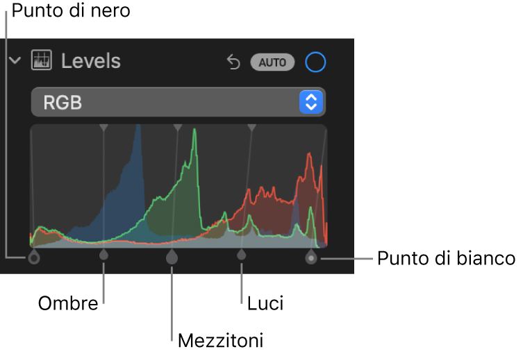 I controlli di Livelli nel pannello Regola, che mostrano l’istogramma RGB con le maniglie al di sotto, con (da sinistra a destra) il punto di nero, le ombre, i mezzitoni, i punti di luce e il punto di bianco.