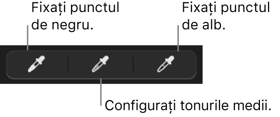 Trei pipete utilizate pentru a configura punctul de negru, tonurile medii și punctul de alb al pozei sau clipului video.