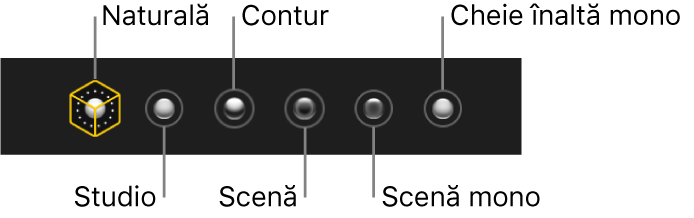 Opțiuni pentru efectul de iluminare al modului Portret, inclusiv (de la stânga la dreapta) Natural, Studio, Contur, Scenă, Scenă mono și Cheie înaltă mono.