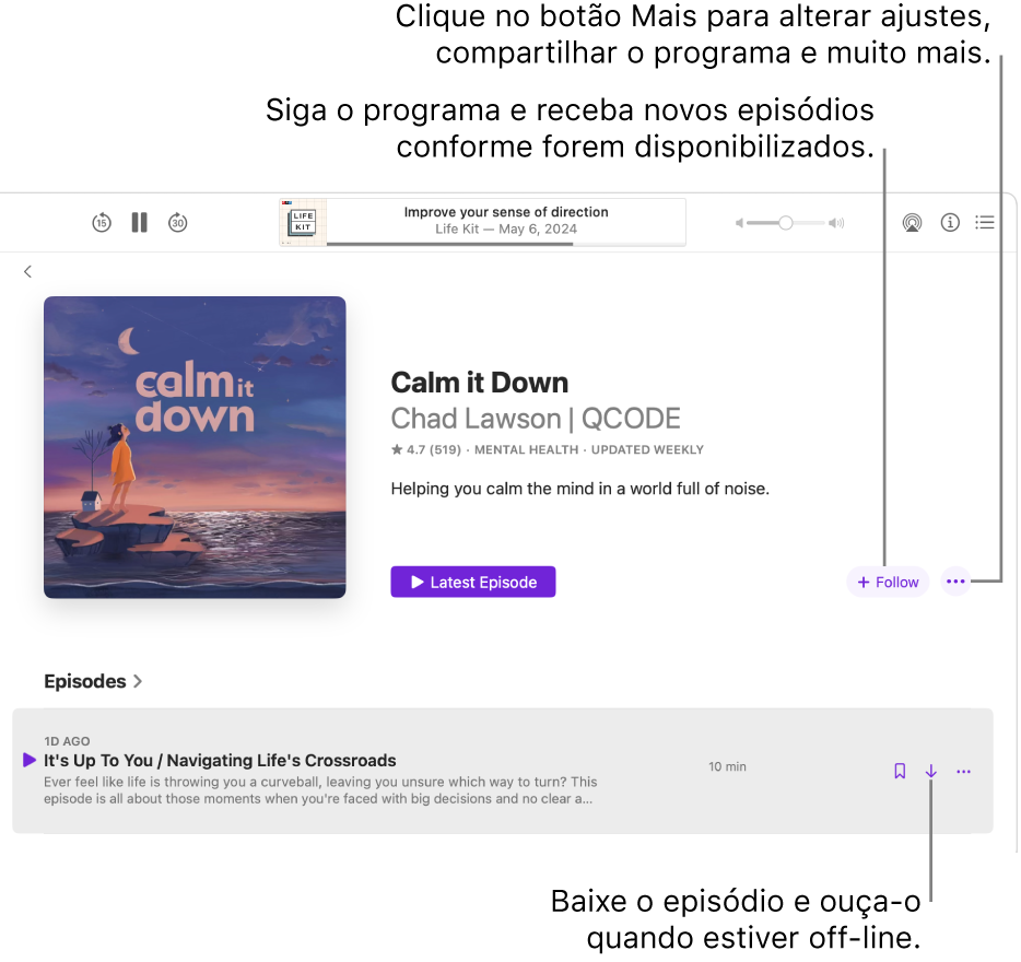 Página de informações de um podcast, mostrando os botões de Seguir, Mais e Download.