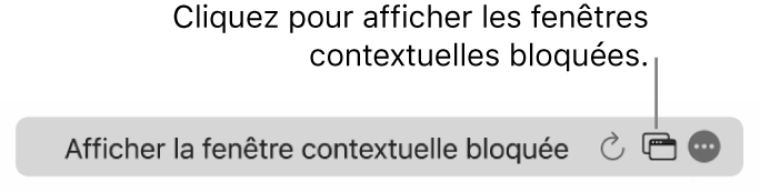 Le champ de recherche intelligente avec une icône pour afficher les fenêtres contextuelles bloquées.