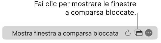 Il campo di ricerca smart con un’icona per mostrare le finestre a comparsa bloccate.