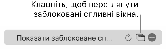 Поле динамічного пошуку з піктограмою, що дозволяє відображати заблоковані спливні вікна.