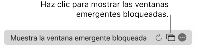 El campo de búsqueda inteligente con un botón para mostrar las ventanas emergentes bloqueadas.