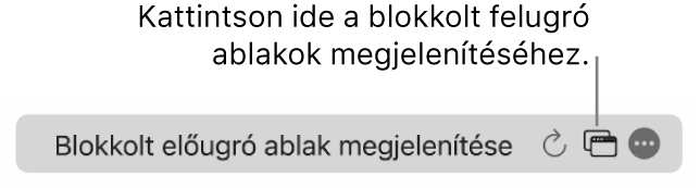 Az Intelligens keresési mező egy gombbal a blokkolt felugró ablakok megjelenítéséhez.