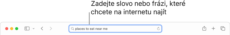 Dynamické vyhledávací pole v Safari, kam lze zadávat slova nebo fráze pro hledání na internetu