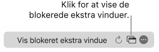 Det smarte søgefelt med en knap til at vise blokerede ekstra vinduer.