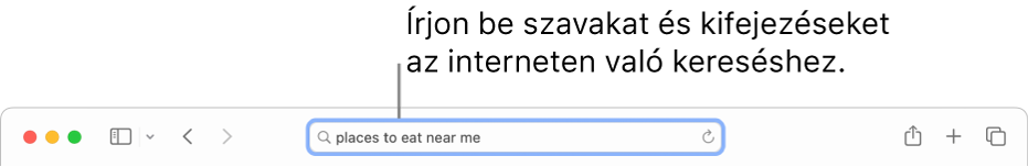 A Safari intelligens keresési mezője, ahol szavakat és kifejezéseket adhat meg, hogy rákeressen azokra az interneten.