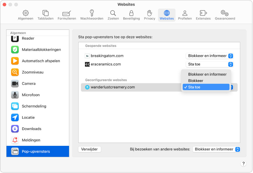 Het paneel 'Pop‑upvensters' in de instellingen voor Safari, met 'Sta toe' geselecteerd voor een geconfigureerde website.
