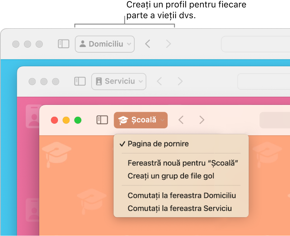 Trei ferestre de profil Safari: una pentru acasă, una pentru serviciu și una pentru școală.