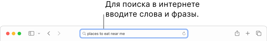 Поле смарт‑поиска Safari, в котором можно ввести слова и фразы для интернет-поиска.