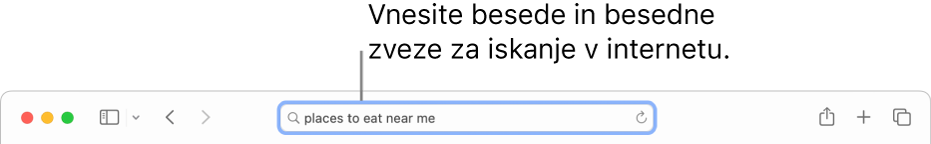 Pametno iskalno polje Safarija, kamor lahko vnesete besede in fraze za iskanje v internetu.