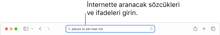 İnternette aramak istediğiniz sözcükleri ve ifadeleri girebileceğiniz Safari akıllı arama alanı.