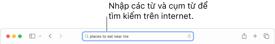 Trường Tìm kiếm thông minh của Safari, nơi bạn có thể nhập các từ và cụm từ để tìm kiếm trên internet.