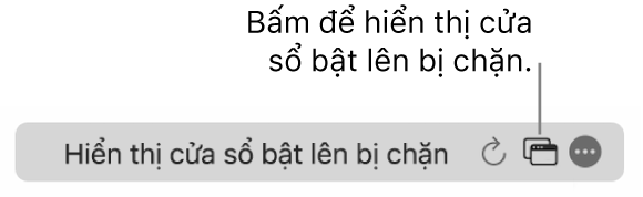 Trường Tìm kiếm thông minh với một nút để hiển thị các cửa sổ bật lên bị chặn.