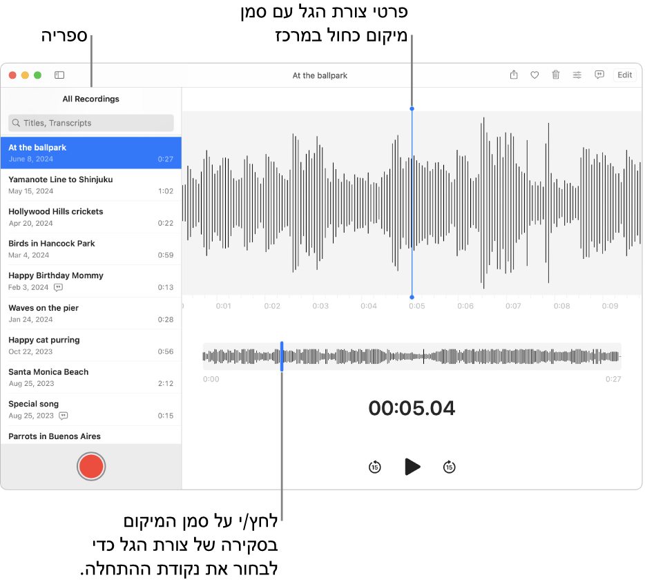 היישום ״התזכורות הקוליות״ מציג את ההקלטות בספריה שבצד. ההקלטה שנבחרה מופיעה בחלון שלצד הרשימה כפרט של צורת גל עם סמן מיקום כחול במרכז. מתחת להקלטה מוצגת הסקירה בצורת גל.