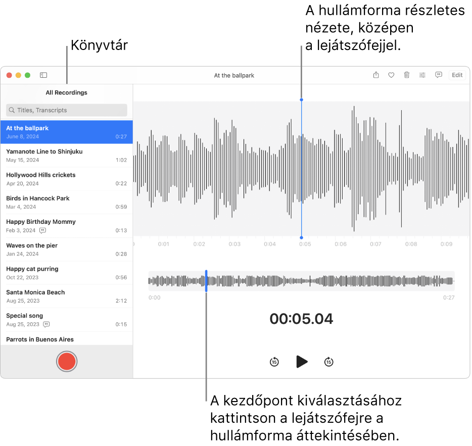 A Hangjegyzetek appban a felvételek láthatók a bal oldali könyvtárban. A kiválasztott felvétel a listától jobbra található ablakban látható hullámformaként, középen egy kék lejátszófejjel. A felvétel alatt látható a hullámforma áttekintése.