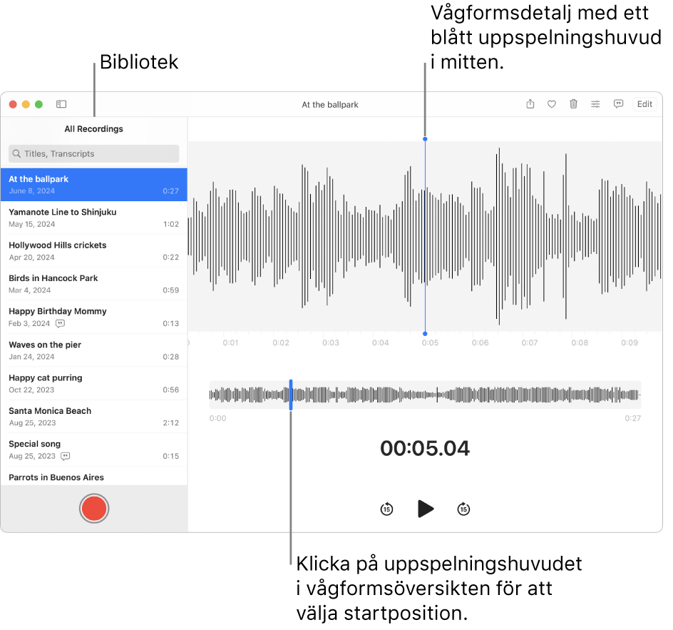 Appen Röstmemon visar inspelningarna i biblioteket till vänster. Den markerade inspelningen visas i fönstret till höger om listan som en ljudvågsform med ett blått uppspelningshuvud i mitten. Nedanför inspelningen hittar du vågformsöversikten.