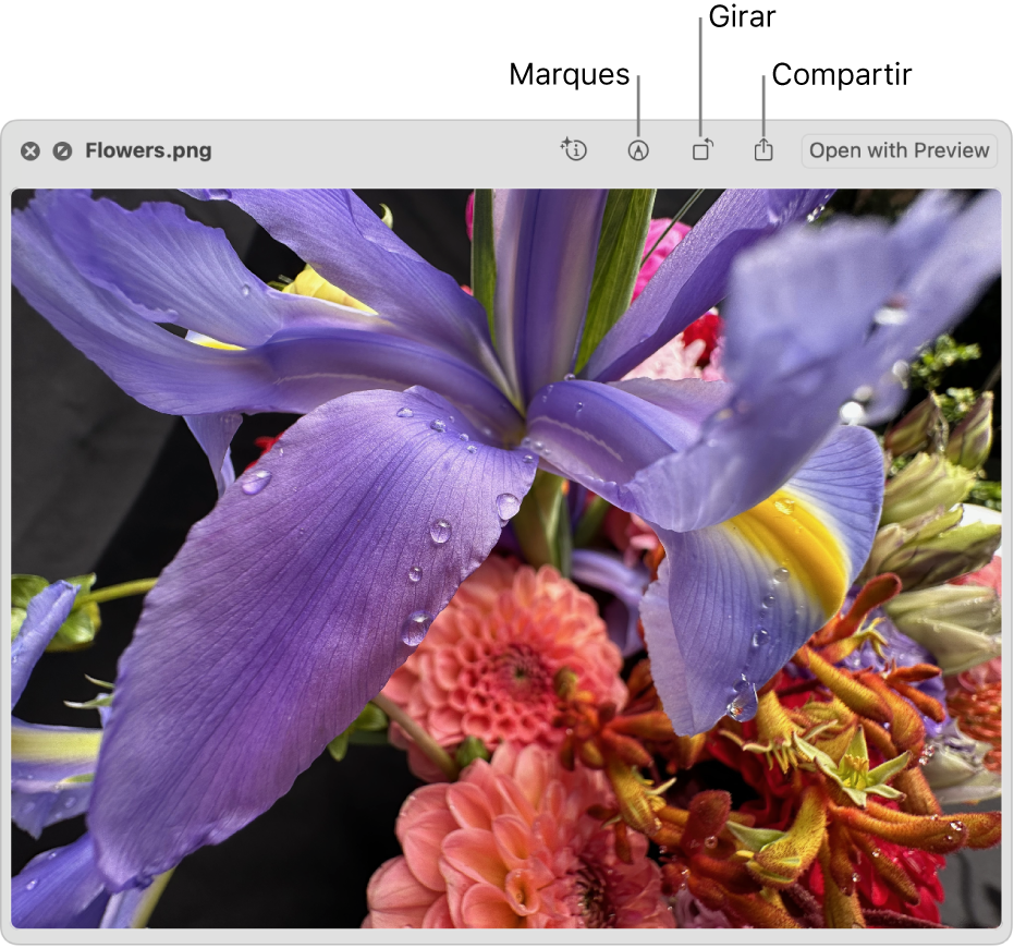 Una imatge de la finestra de vista ràpida amb botons per fer marques a la imatge, girar‑la, compartir‑la o obrir‑la a l’app Previsualització.