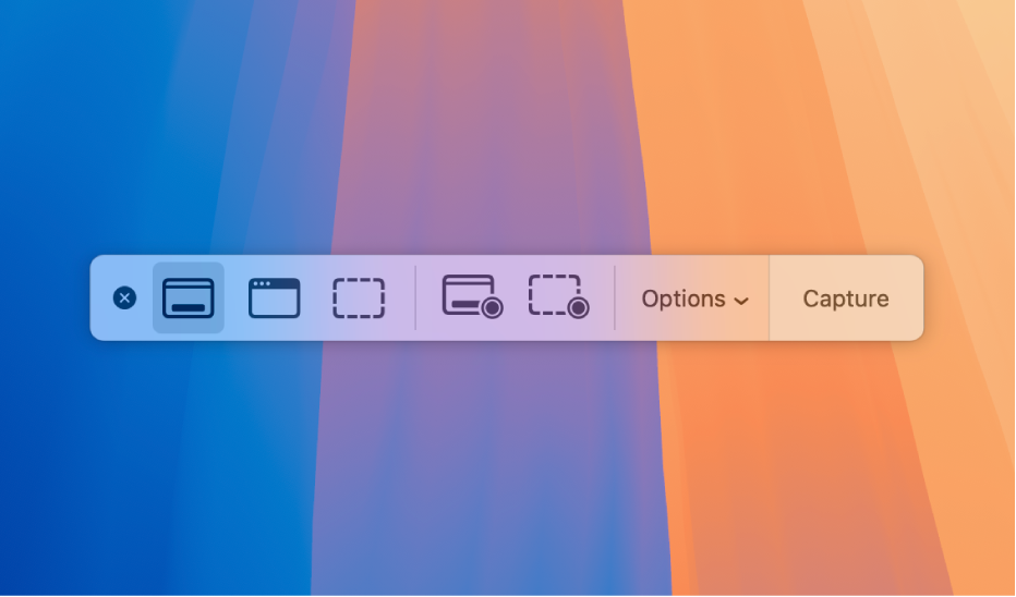 El tauler “Captura de pantalla” mostra les icones que pots utilitzar per seleccionar una àrea de la pantalla per capturar-la, el botó “Opcions” i el botó “Captura”.