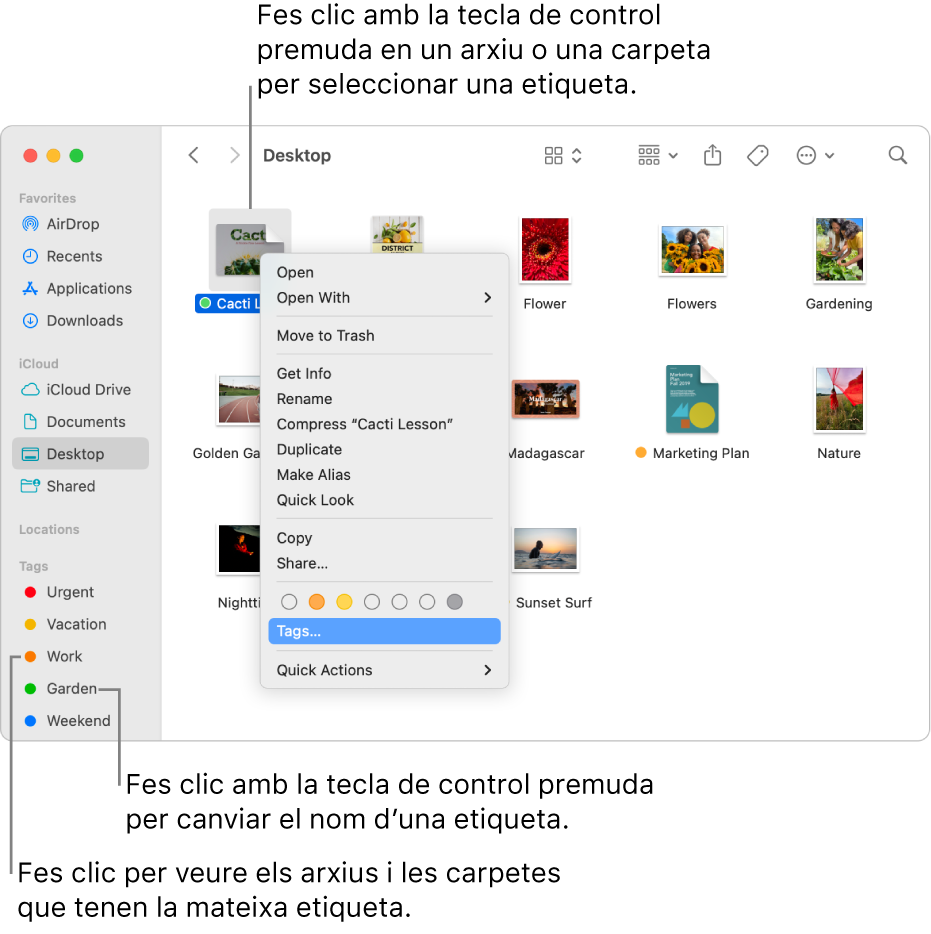 Finestra del Finder que conté arxius i carpetes etiquetats, amb un arxiu seleccionat. Al menú de dreceres hi ha opcions de color per a les etiquetes, i l’opció Etiquetes està ressaltada.