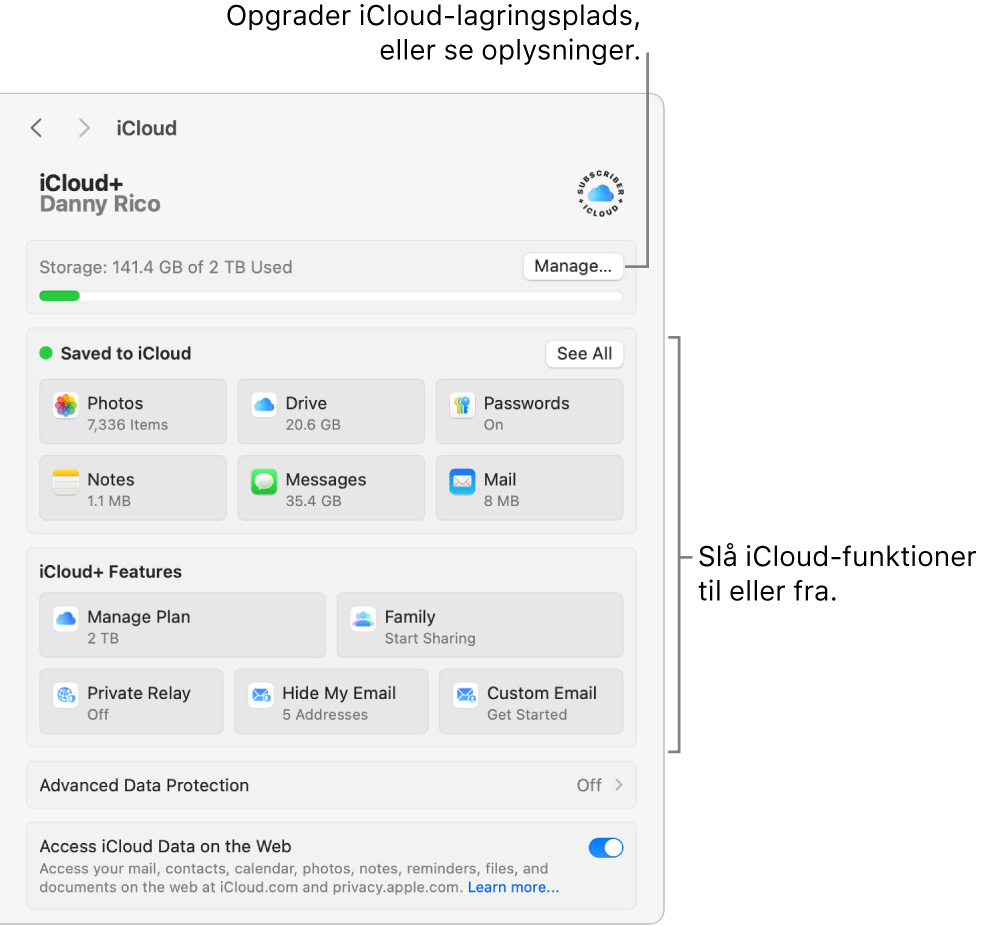 Indstillingerne til iCloud med alle funktioner slået til.